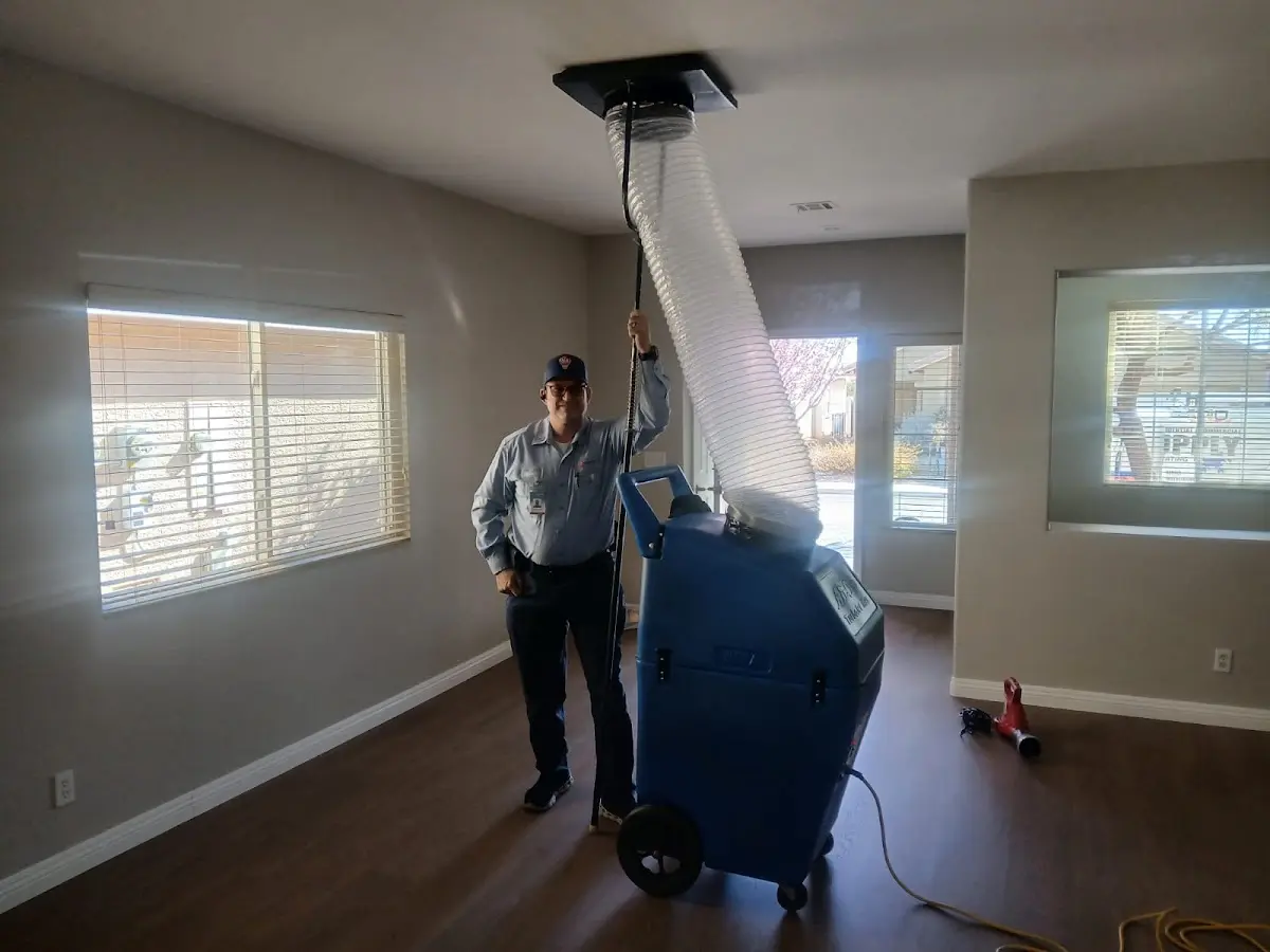 Professional Dryer Vent Cleaning work inside a Hampton home